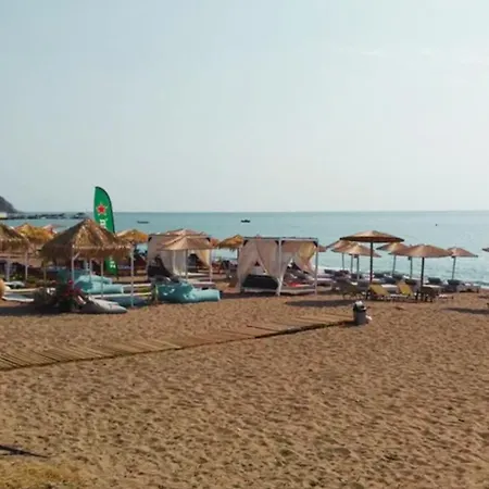 Thalassia Avra Stegna *